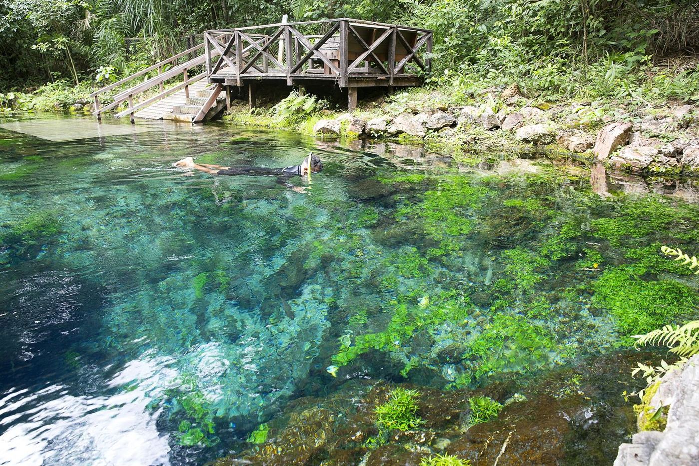 Água cristalina na Nascente Azul, em Bonito, onde se faz flutuação