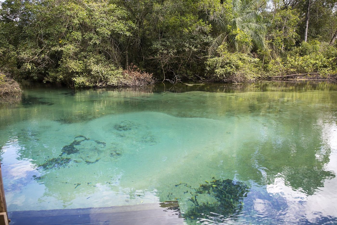 O Rio da Prata visto de cima, em Jardim, vizinho a Bonito